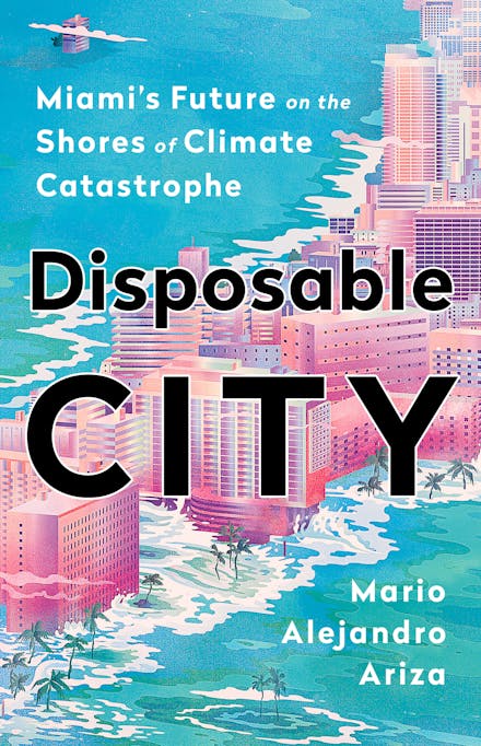 Disposable City