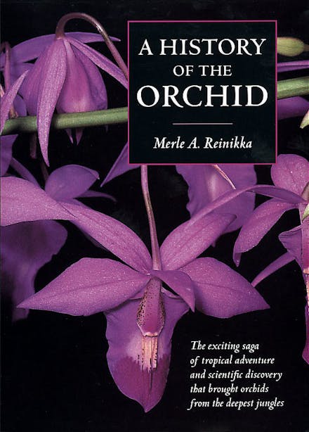 A History of the Orchid