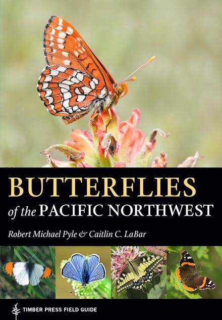 Butterflies of the Pacific Northwest