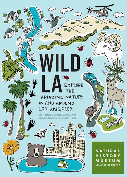 Wild LA