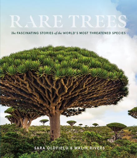 Rare Trees