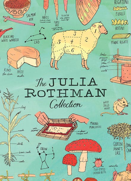 The Julia Rothman Collection