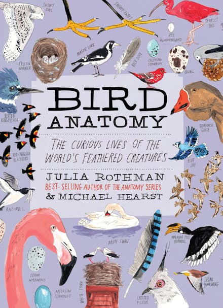 Bird Anatomy