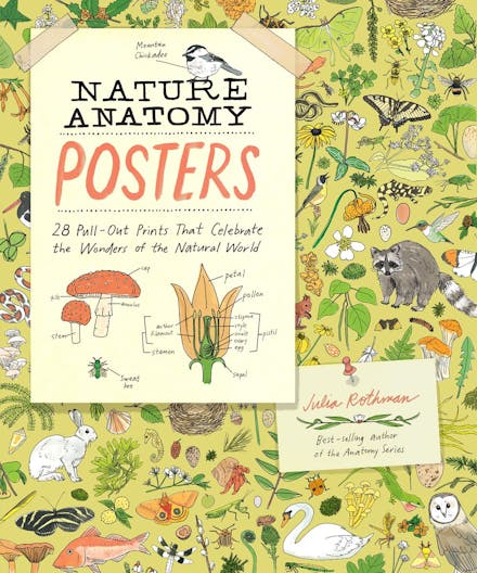 Nature Anatomy Posters