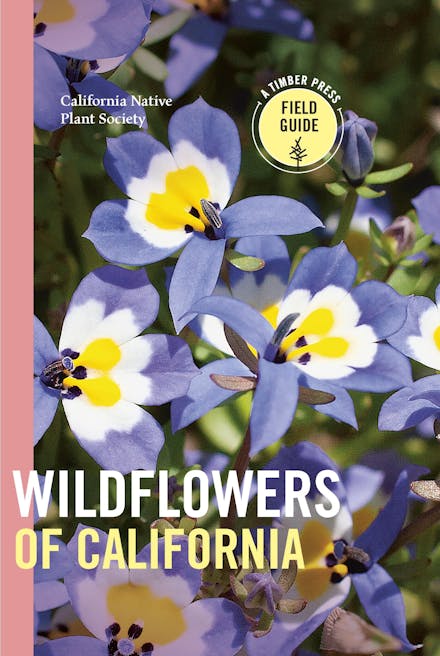 Wildflowers of California