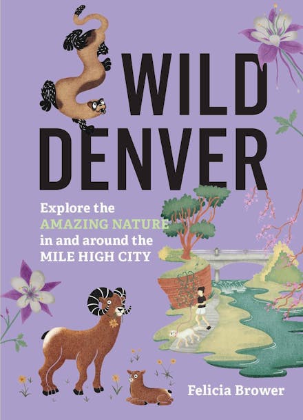 Wild Denver