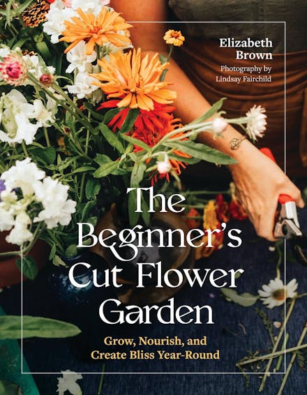 The Beginner s Cut Flower Garden