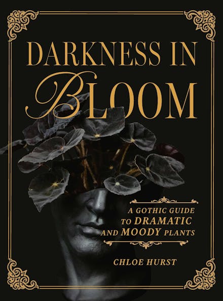 Darkness in Bloom