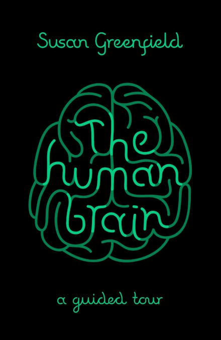 The Human Brain