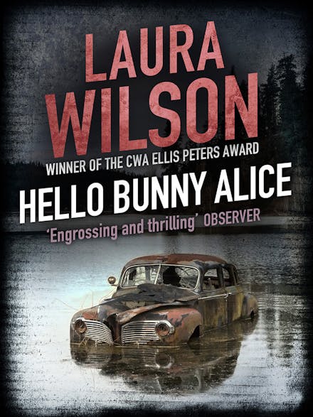 Hello Bunny Alice