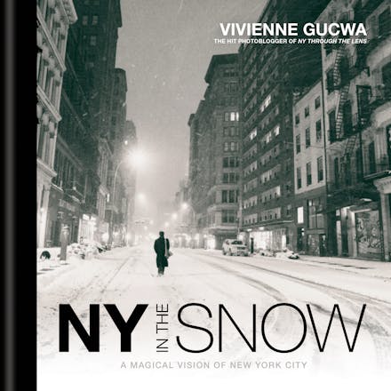 New York In The Snow
