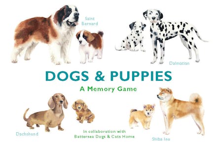 Dogs & Puppies