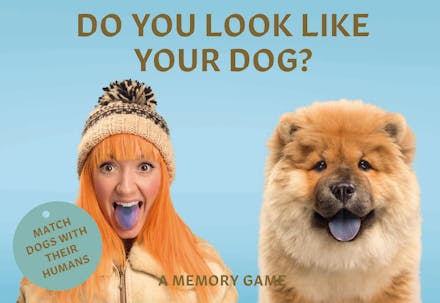 Do You Look Like Your Dog?