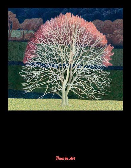 The Book of the Tree