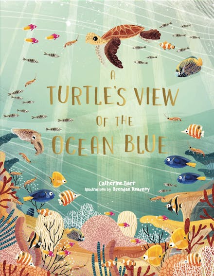 A Turtle's View of the Ocean Blue