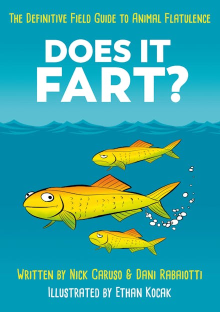Does It Fart?