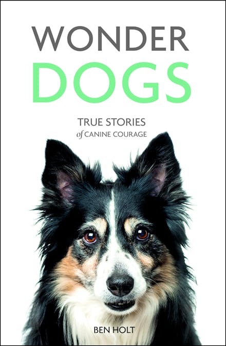 Wonder Dogs