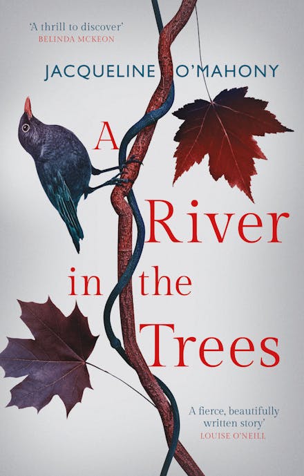 A River in the Trees