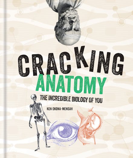 Cracking Anatomy