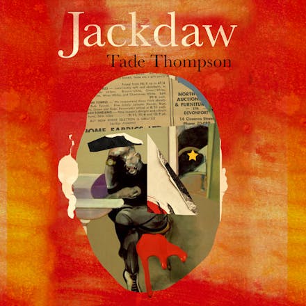 Jackdaw