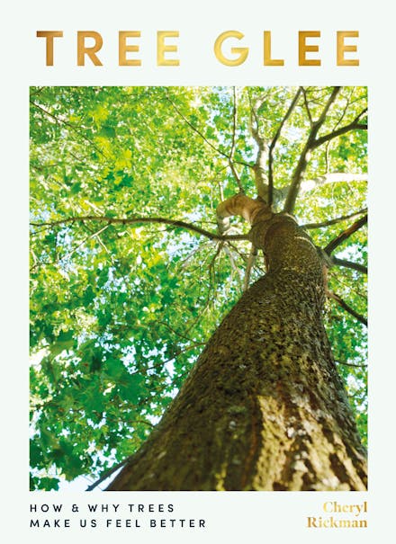 Tree Glee