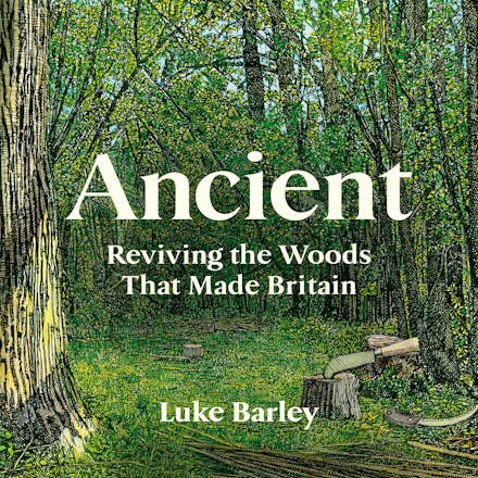 Ancient