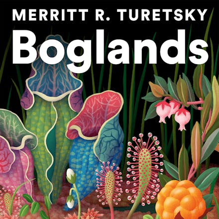 Boglands