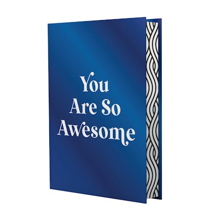 You Are So Awesome