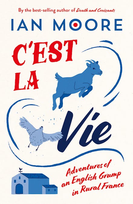 C'est Modnifique!