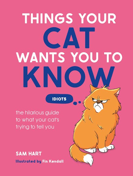 Things Your Cat Wants You to Know