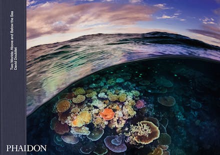 Two Worlds: Above and Below the Sea