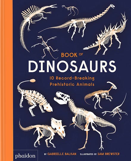 Book of Dinosaurs