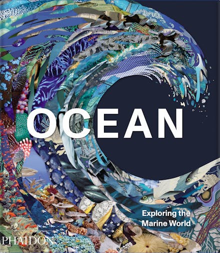 Ocean: Exploring the Marine World