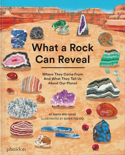 What a Rock Can Reveal