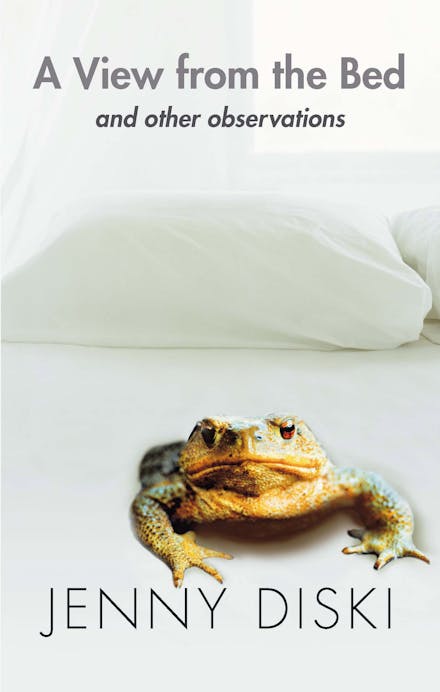 A View From The Bed And Other Observations