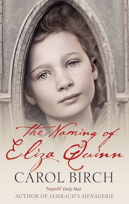 The Naming Of Eliza Quinn