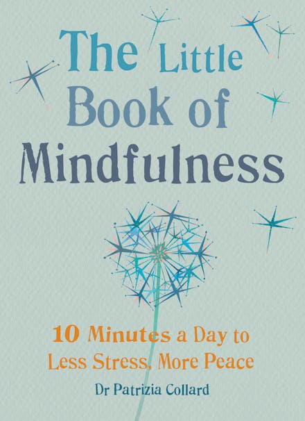 Journey into Mindfulness