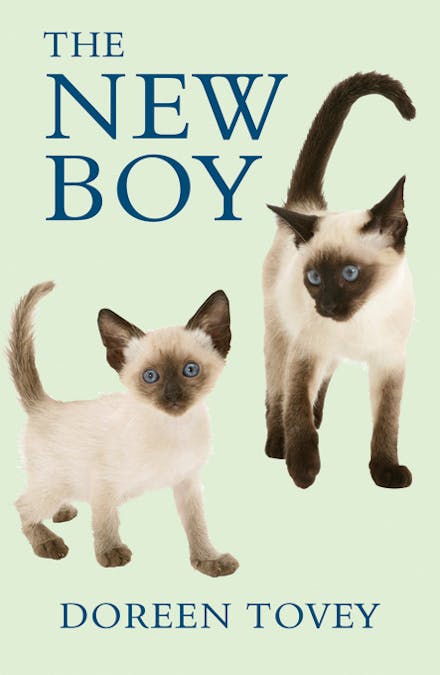 The New Boy