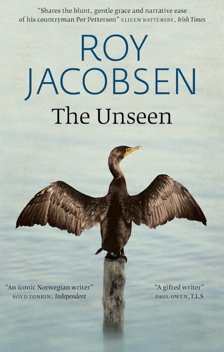The Unseen