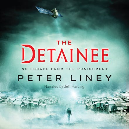 The Detainee