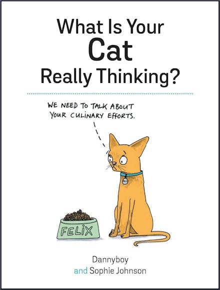 What Is Your Cat Really Thinking?