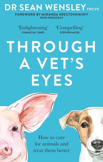 Through A Vet s Eyes