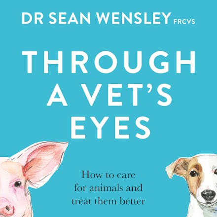 Through A Vet s Eyes