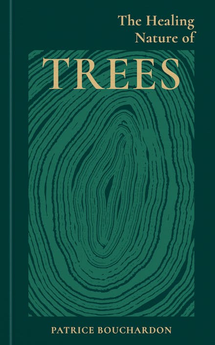 The Healing Energy Of Trees