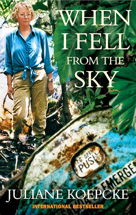 When I Fell From The Sky