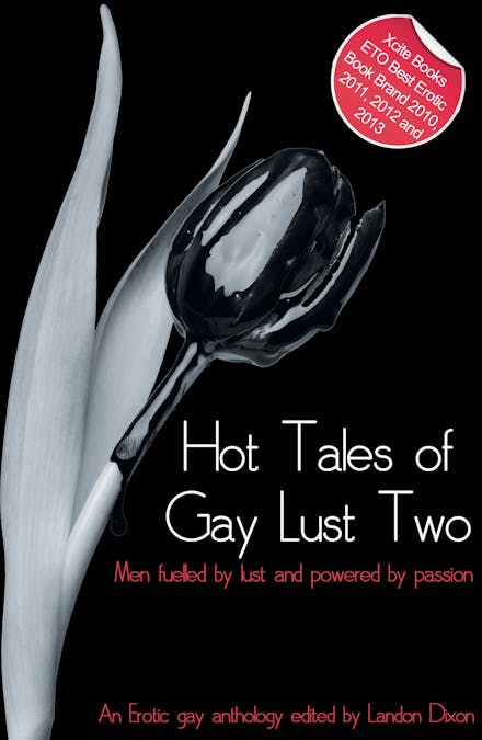 Hot Tales of Gay Lust Two