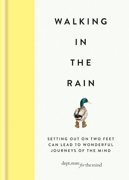 Walking in the Rain