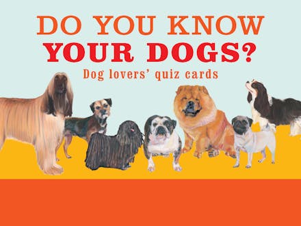 Do You Know Your Dogs?