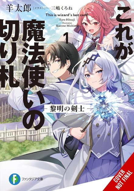 This Is the Wizard s Secret Weapon, Vol. 1 (light novel)