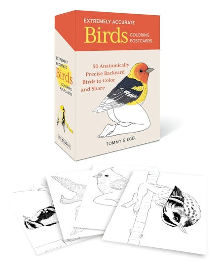 Extremely Accurate Birds Coloring Postcards